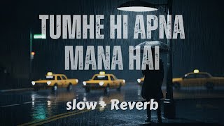 Tumhe Hi Apna Mana Hai [Slow + Reverb] Song