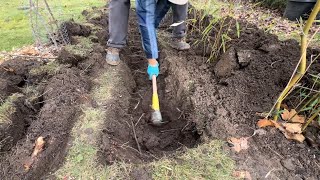 安装防止竹子串根的防护层 bamboo root barrier installation