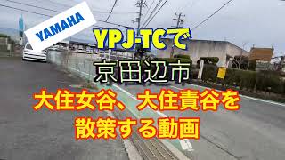 大住女谷、大住責谷を散策する動画#京田辺市 #ypjtc #ebike #自転車散策#大住責谷