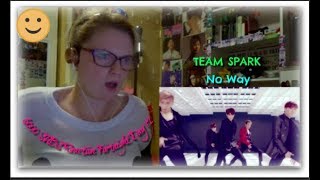 6000 Subscriber Reaction Fortnight Day 12: TEAM SPARK: No Way