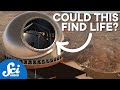 The Future of the Search for Life