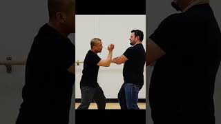 Wing Chun - Additional short power training