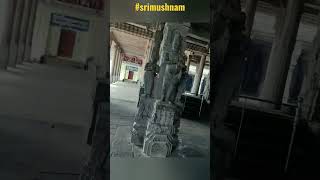 #Srimushnam#Bhuvaraha swamy temple#ytshortsvideo#Beautiful Sculptures❤