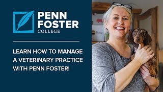 Learn How to Manage a Veterinary Clinic Online | Penn Foster