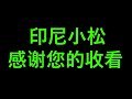 印尼骑行“苏门答腊”改变计划路线，穿越椰树林，直奔“多巴湖” 1120