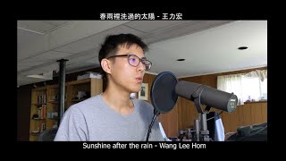 王力宏 Wang Lee Hom【春雨裡洗過的太陽】- Sunshine After the Rain - Chan Ge Cover