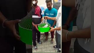 bazi winner pind dudhala 🕊️🕊️#kabutarbazi harjot video