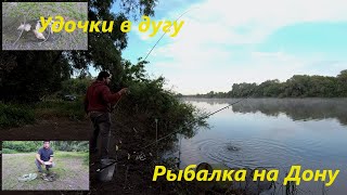 Удочки в Дугу от этих Рыбин|Рыбалка на Дону| Фидер в Шилово