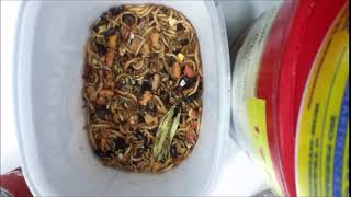 Mealworm Pollution 2018 Part #1288 1