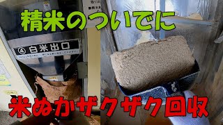 コイン精米機で無料の米ぬかをゲット！家畜飼料や家庭菜園で活躍【072】