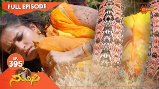 Nandhini - Episode 395 | Digital Re-release | Gemini TV Serial | Telugu Serial