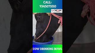 மாடுகளை நோயிலிருந்து காப்பாற்ற வேண்டுமா ?? நம்ம MDM ன் COW DRINKING BOWL #trending #dairyfarm #cow