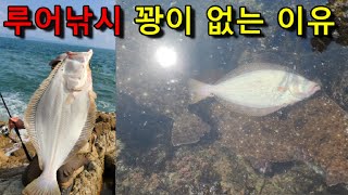 농어, 광어, 삼치, 쭈갑등 낚시가서 남들보다 많이 잡는 방법. 꽝치면 제가 책임질게요 ^^