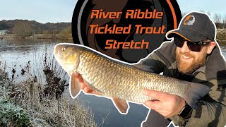 Feeder Fishing In Sub Zero Temperatures | River Ribble Tickled Trout Stretch