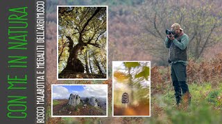 Escursione fotografica, Bosco di Malabotta e Megaliti dell'Argimusco...