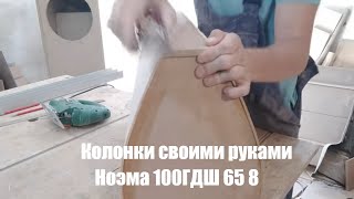 Я хочу себе такие колонки! Ноэма 100ГДШ-65-8 в фазоинверторе