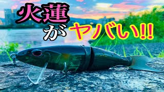 琵琶湖の瀬田川でOSPのカレンを投げると、こうなります