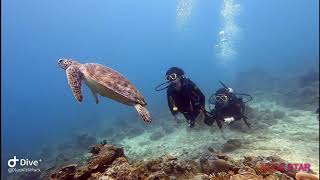 El-Nido scuba diving El-Dive エルニド　エルダイブ　ファンダイビング