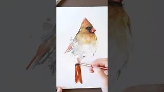 full video on my channel :) painting a female cardinal with watercolors