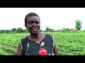 Dziko la Mkaka ndi Uchi - 24 February 2022