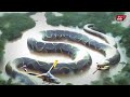 dayak tribe proves the existence of 80 meter giant snake still alive in indonesian forest