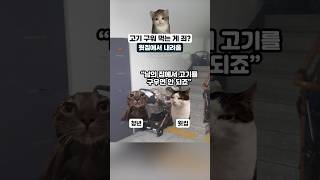 고기 구워 먹는 게 죄? #고양이밈