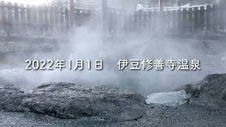 行ったつもりde伊豆修善寺温泉〜2022初日の出と初詣