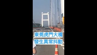 突發！廣東東莞虎門大橋發生異常抖動，橋面似波浪起伏，現已封橋