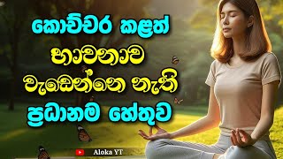 භාවනා අත්දැකීම් වාර්තා කරන ආකාරය | Reporting Meditation experiences | @alokaalighttolife