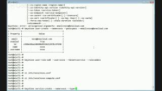 Icehouse - OpenStack 2 node deployment - Compute Service
