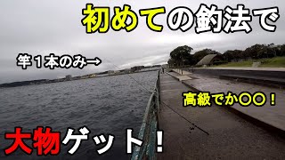 【神奈川県某所】初釣法で大物ゲット！秋の9月下旬の台風翌日の雨と強風の日に、関東地方の三浦半島の東京湾側に面した釣り場で、初めての釣り方とルアー釣りなどで釣りしてみたら…！【2022.09.20】