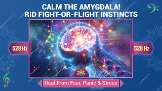 Calm The Amygdala, Release Fight-or-Flight Instincts - Heal From Fear, Panic \u0026 Stress - 528 Hz