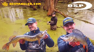 O.S.P DoLive Shad | Fishing for pike and perch in the old flooded forest!