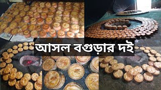 আসল বগুড়ার দই দেখুন || Real Bogura Doi ||