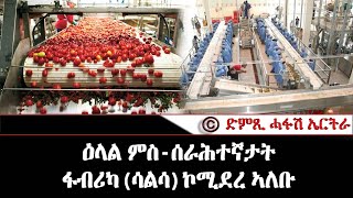 ዕላል መንእሰያት: ሰራሕተኛታት ፋብሪካ ኮሚደረ ኣለቡ  (2ይ ክፋል)- DimTsi Hafash Eritrea/ድምጺ ሓፋሽ ኤርትራ