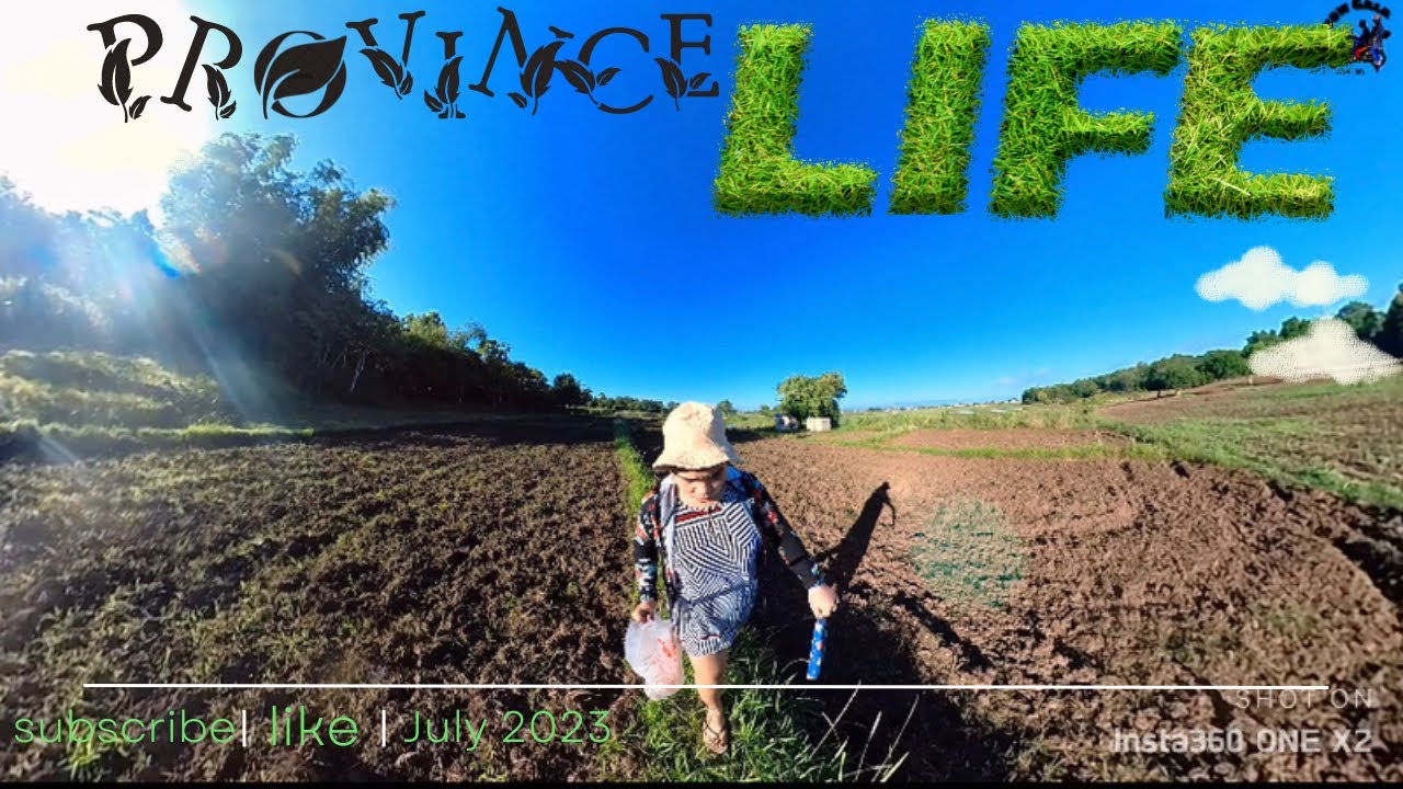 Province Life Kuha Tayo Ng Gulay Sa Farm Youtube