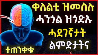 🛑 ቀለልቲ ዝመስሉ - ቀለልቲ ዝመስሉ ሓንጎል ዝጎድኡ ሓደገኛታት ልምዳታትና - Healts care