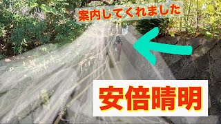 動画から香りが漂うかもしれません　神さまのお導き　あの世とこの世と結界現象。安倍晴明　式神　神香　一条戻り橋　陰陽師