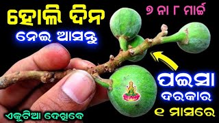 ହୋଲି 2023 ଦୋଳ ପୂର୍ଣ୍ଣିମା ଦିନ ଏହି ୧ ଜିନିଷ ଘରକୁ ଆଣନ୍ତୁ ଧନ ମାଡ଼ି ଆସିବ#Holi2023#Dolapurnima2023#Maalaxmi