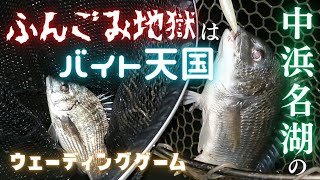 【チニング】ふんごみ地獄はバイト天国！中浜名湖でウェーディングチヌゲーム　2023年6月上旬