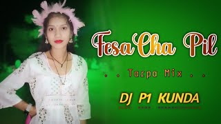 फेशेचा पिल 🐦‍⬛Fesecha Pil ☘️DJ P1 KUNDA New Song