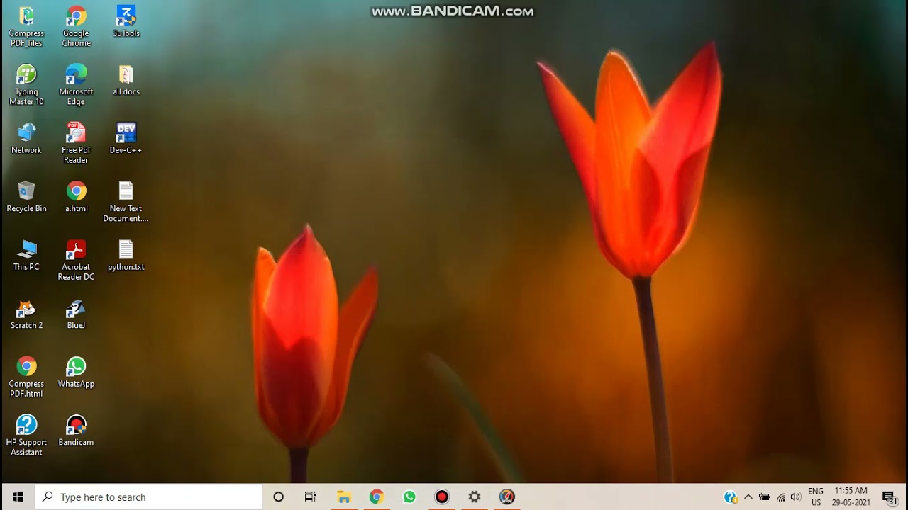 Typing Master Download And Install Youtube