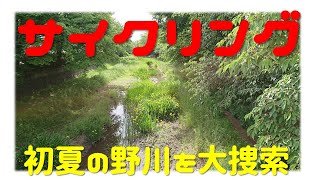 初夏の野川の風景（上流篇）