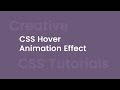 CSS Creative Hover & Animation Effect | csPoint Website Designing tutorials