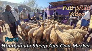 Hindiganala Sheep and Goat market full detail video H-cross Market