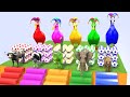 Long Slide Game With Elephant Gorilla Buffalo Hippopotamus Tiger - 3d Animal Game - Funny 3d Animals