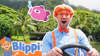 Blippi Goes Fishing in Hawaii! Educational Videos for Toddlers