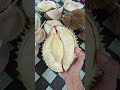 Durian karangasem bali #shorts #duren