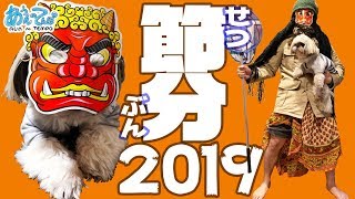 鬼vsシーズー　我が家のカオス節分 The Last Day of Winter, Setsubun2019