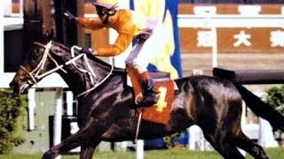 1997 The Hong Kong Champions \u0026 Chater Cup - Indigenous (原居民) - 文羅